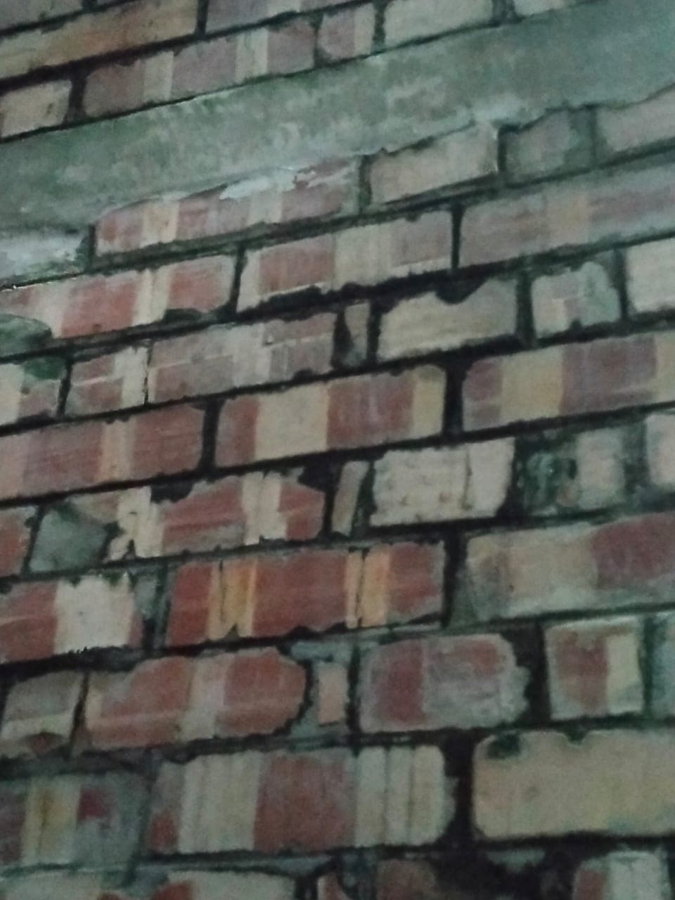 Structural Coating 1